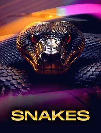 __3-SNAKES